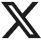 x icon